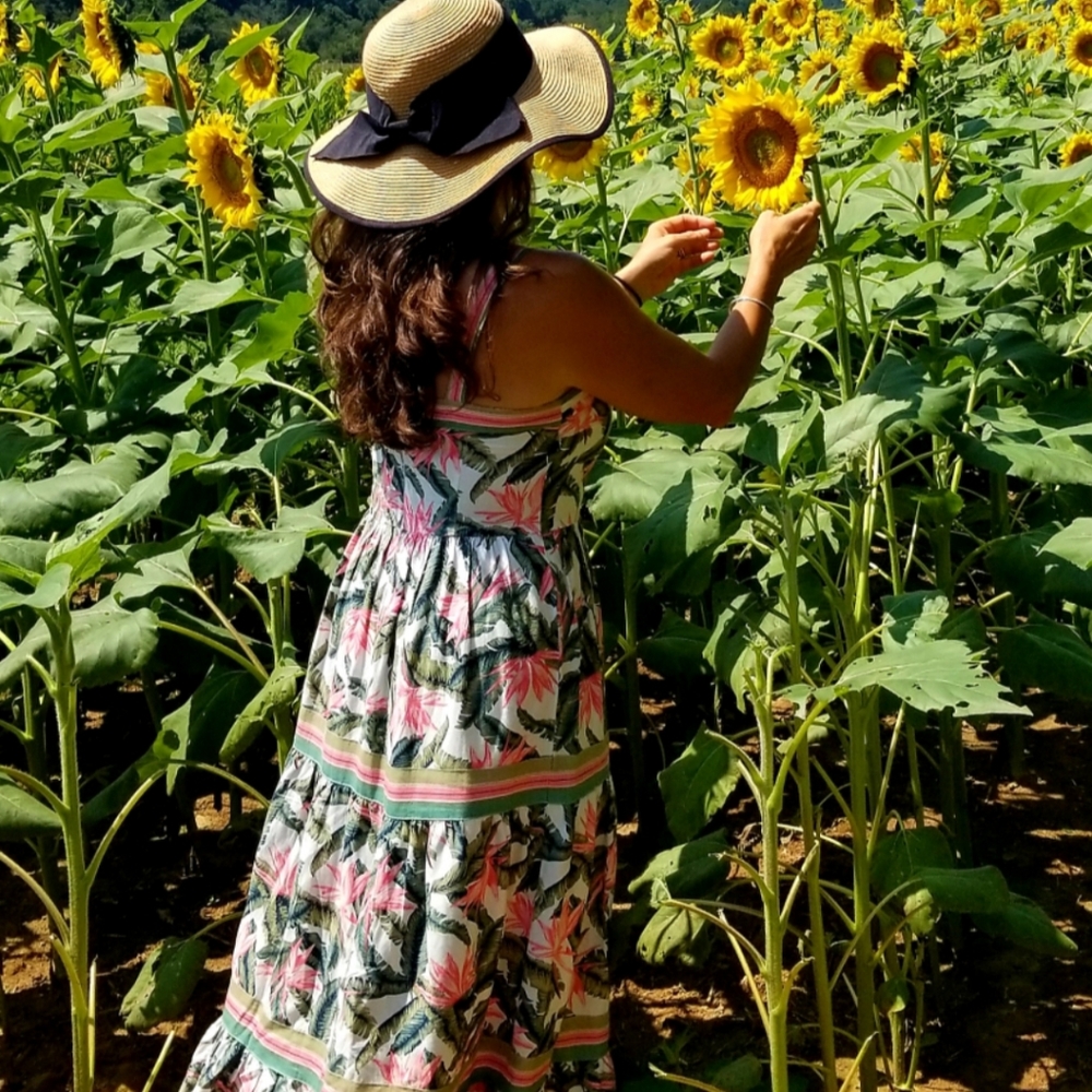 🌸Posh Ambassador 🌸The Ivy Closet - Picture 13 of 16